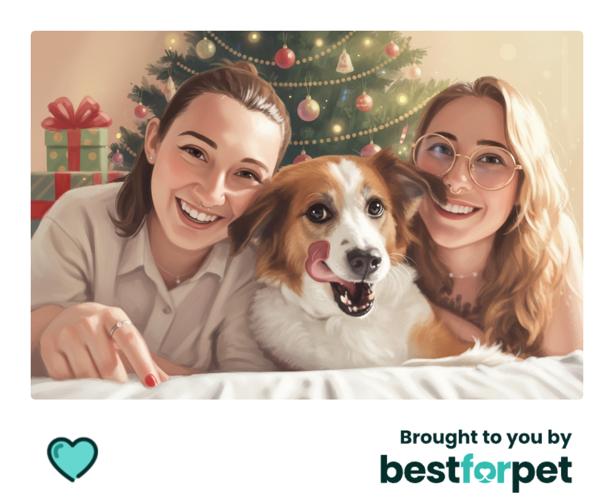 Christmas tree polaroid